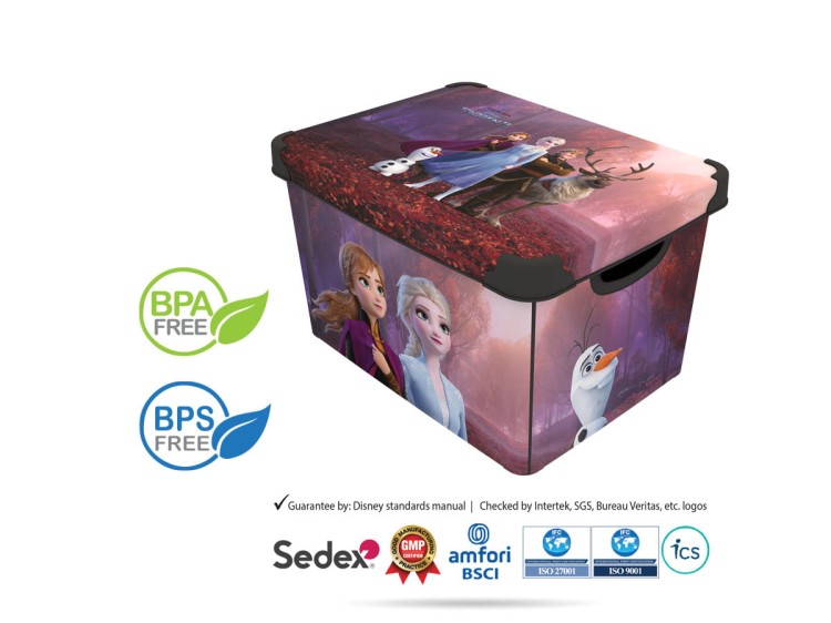 DISNEY Frozen II pudełko 20L INVICTUS 1928