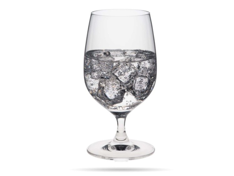 Kieliszek pokal do wody 310 ml Edition szkło kryształowe Rona FINE DINE
