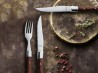Nóż stekowy ząbkowany 22,5 cm 18/0 Royal Steak AMEFA