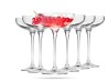 Kieliszki do szampana płaskie 280 ml zestaw 6 szt Harmony KROSNO