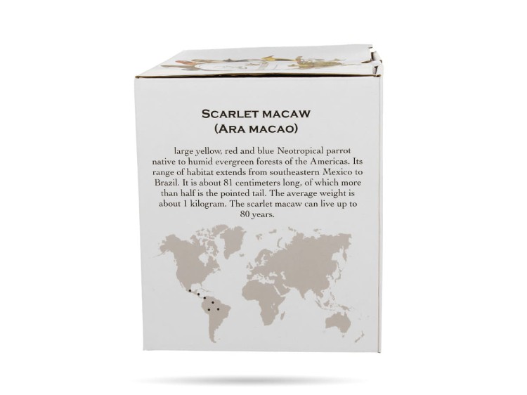 Kubek ptaki papugi 400 ml Ptasi świat porcelana prezentowa DUO