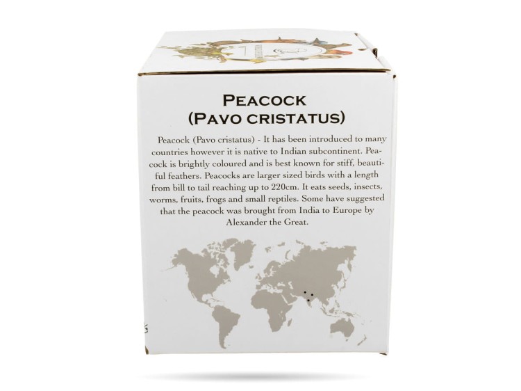 Kubek ptaki paw 400 ml Ptasi świat porcelana prezentowa DUO