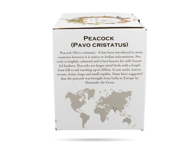 Kubek z zaparzaczem ptaki paw 400 ml Ptasi świat porcelana prezent DUO