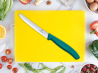 zielony noz do pomidorow victorinox.png