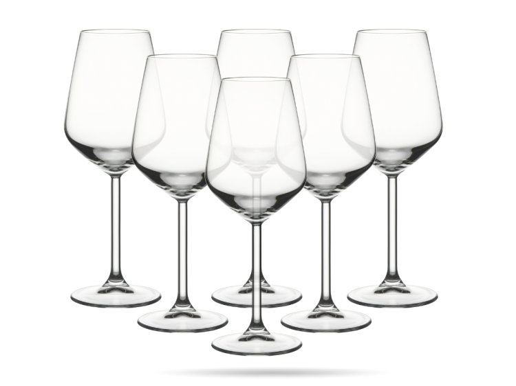 kieliszki allegra pasabahce 350 ml  (2).png