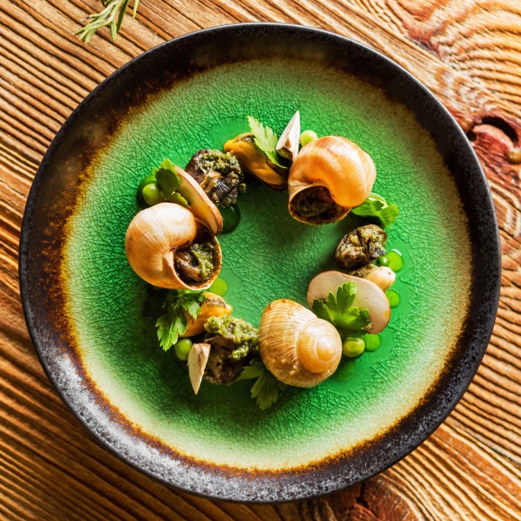 Misa okrągła na ramen lub sałatkę Beryl, 240mm