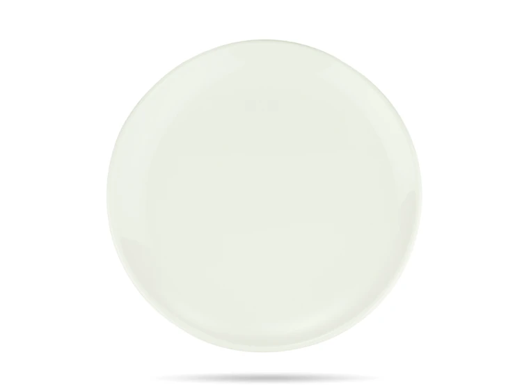 Talerz płytki 25 cm porcelana gastronomiczna Gourmet BONNA.png