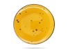 Talerz deserowy 22 cm Cottage Yellow BOGUCICE