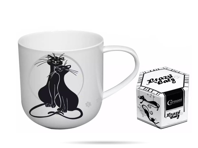 Kubek 450 ml porcelana KOTY CARMANI v4